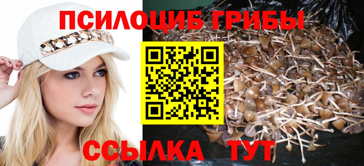 Ярцево  Псилоцибиновые грибы Cubensis  Вход с VPN 