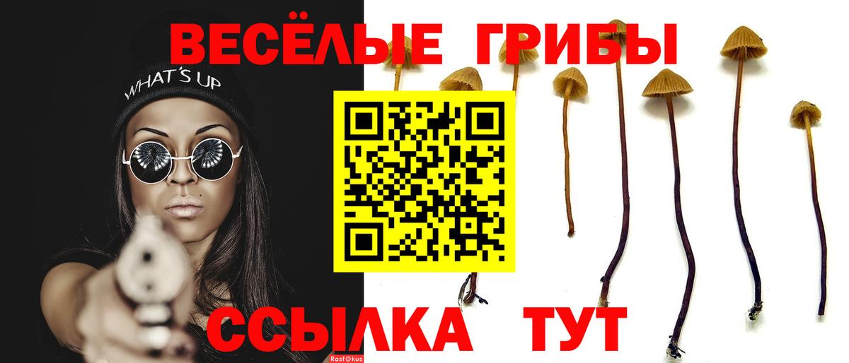 Псилоцибиновые грибы Magic Shrooms Ярцево